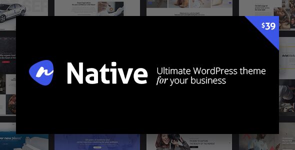 Native 1.7.14 — Многоцелевая креативная тема WordPress