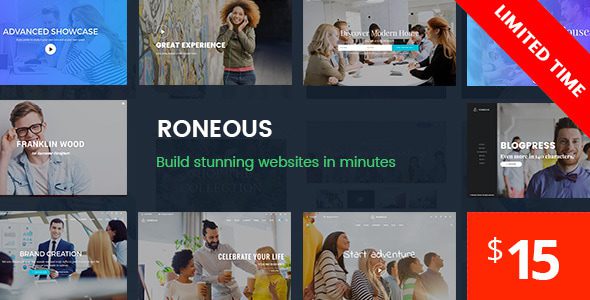 Roneous 2.1.7 — Креативная мультитематическая тема WordPress